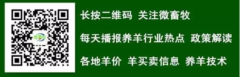 2019年1月26日.